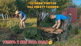РАСХЛАМЛЕНИЕ НА ЗАБРОШЕННОЙ ДАЧЕ/ КАК Я СЭКОНОМИЛА НА СОРТОВЫХ ТЮЛЬПАНАХ/Выкапываем цветы и клубнику