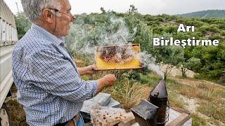 Kolay Arı Birleştirme.Merdan Usta Tecrübelerini Anlatıyor /Arıcılık Videoları