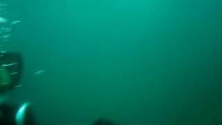 Ulises haciendo de cámara subacuático