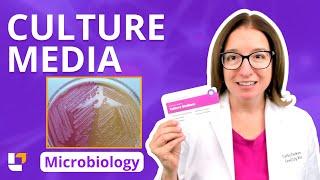 Culture Media: Microbiology Growth Pre-Nursing, Pre-Med & Health Field Careers | @LevelUpRN