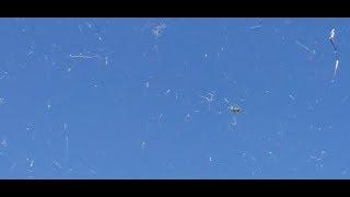 Bizarre "Hay Storm" Caught on Video in Central Utah