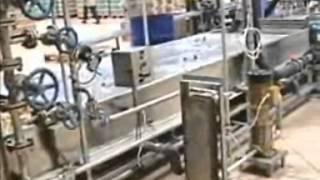 Automatic Spout Pouch Packaging Machine