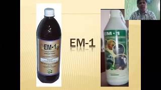 JAPANESE TECHNOLOGY: WHAT IS EM-1 and EMAS?