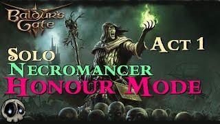BG3 - Solo Necromancer - Honour Mode!  - Act 1