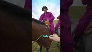 How Do Nomads Find Each Other? | Mongolian Nomad Lifestyle 