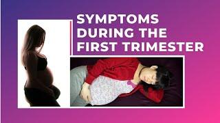 Pregnancy : Symptoms During First Trimester of Pregnancy | Sleepinsta