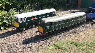 Riley’s Miniature Railway - British Railways Class 31