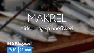 FISKEguiden 7/10: Makrel