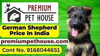 german shepherd price in india | German Shepherd Puppies For Sale In India