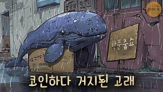 트럼프발 하락... 건강한 조정? 고래도 코인하다 망한다.