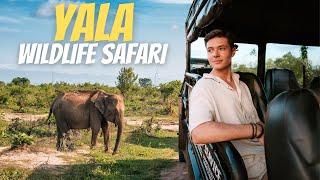 Unexpected Surprises on Our First Safari! | Yala National Park, Sri Lanka 