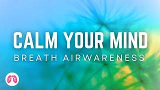 Guided Breathwork Meditation