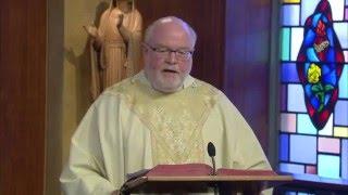 Not Afraid of Transformation | Homily: Msgr Garrity