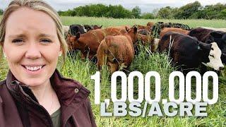 Ultra High Density Grazing Cover Crops - April 19, 2024