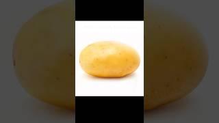 Potato