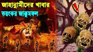 জাহান্নামীদের খাওয়ানো হবে এই ভয়ংকর জাক্কুম ফল। দেখতে কেমন জাক্কুম? দেখুন পৃথিবীর কোথায় আছে জাক্কুম