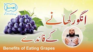 Angoor Khane Ke Fayde | Benefits of eating Grapes  | अंगूर के फायदे | Unani Tibb