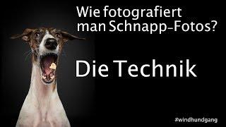 Hundefotografie - Hunde fangen Leckerlis - Technik HowTo