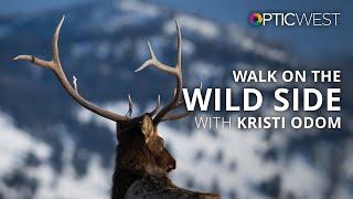 The Craziness I Do To Make Wildlife Images Work | Kristi Odom | #BHOPTIC