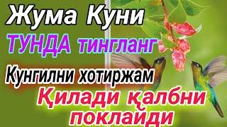 Жума Куни Тинглайдиган Суралар. Қалбни Поклайди!