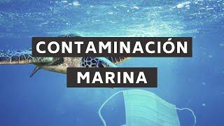 Contaminación marina | Perspectiva Verde