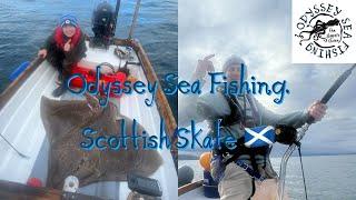 Scottish Skate | Odyssey Sea Fishing UK.