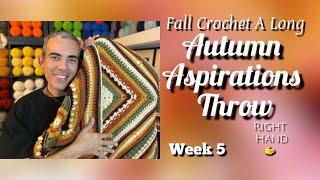 FALL Crochet A Long Week 5: Autumn Aspirations Throw (Right Hand Crochet)