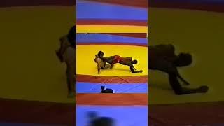 Лучший борец-вольник 90-х годов
