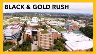 Black & Gold Rush 2025: Our Collective Impact