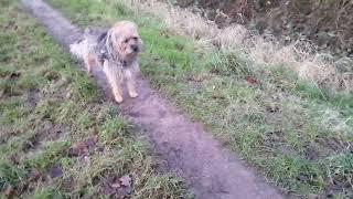 A Windy, muddy walk n talk 