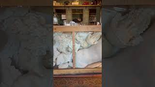 Пришел за кофе ️ называется  Что это?? #кофе#утро#шок