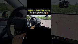테슬라 모델 Y 주니퍼, 천장에 숨은 기능? 기어 멈출 때 꼭 알아두세요! #shorts #모델y주니퍼