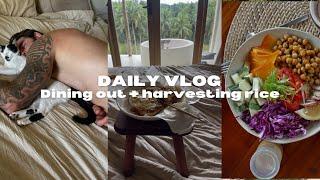 Life in the Philippines ️ Rice Harvest, Building Dreams & A Chill Day in Panglao