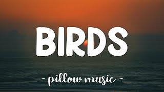 Birds - Imagine Dragons (Lyrics) 