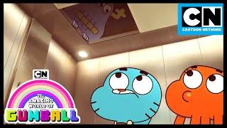 Don't Look Up! Gumball and Darwin See Something Staring Back! | Gumball | Cartoon Network