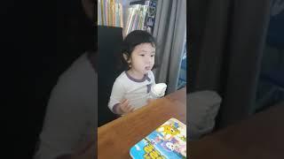 채니뽀 빵빠레 그릭요거트