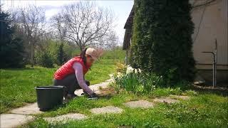 A Prayer for Rebirth  Slow living & spring in the Hungarian countryside