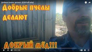 Добрые пчелы, делают ДОБРЫЙ мёд!
