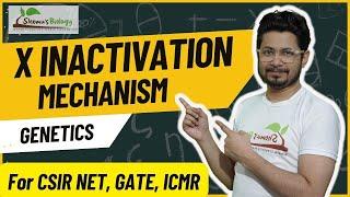 X inactivation mechanism | Xist in X inactivation