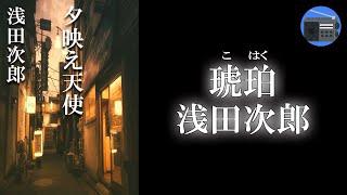 【朗読】「琥珀（こはく）」それぞれが抱える闇を感じながら、徐々に交流を深めていく。彼らを待ち受ける運命とは！？【ヒューマンドラマ・フィクション／浅田次郎】