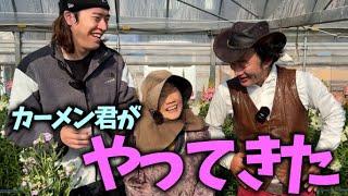 【本物が来てくれました】お久しぶりです【「カーメン君」ガーデンチャンネル】【カーメン君】【じゅんぺい君】