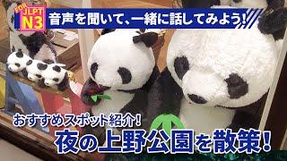 夜の上野公園を歩いてみよう！　おすすめスポットを紹介！【TCJ / 東京中央日本語学院】