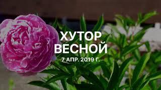 8. Эстония. Весна на  хуторе в Эстонии. 2019 год#жизньвэстонии #novatinafilm #vlog