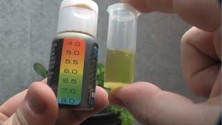 How to use the Sure Test pH Test Kit