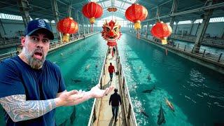 TOUR of A MASSIVE FISH FARM in CHINA - WE NEED some of these FISH