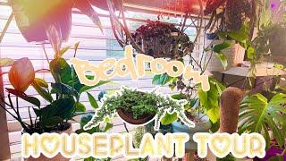 Houseplant Tour! | My Bedroom plants| Common plants! | Part 1 