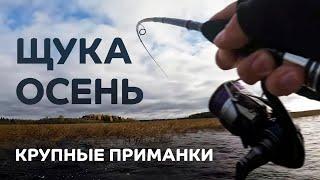 Осень. Щука. Крупные приманки. Рыбалка с лодки на спиннинг CF Perfect Jig 79-H-T