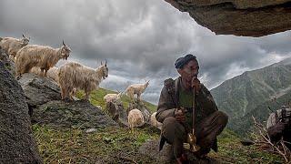 गद्दी जनजाति हिमाचल प्रदेश के लोगो का जीवन संघर्ष और की जमीनी सचाई और हकीकत।