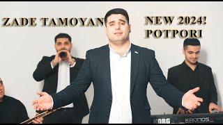 Zade Tamoyan - Potpori(new clip 2024)