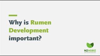 Why is rumen development important?